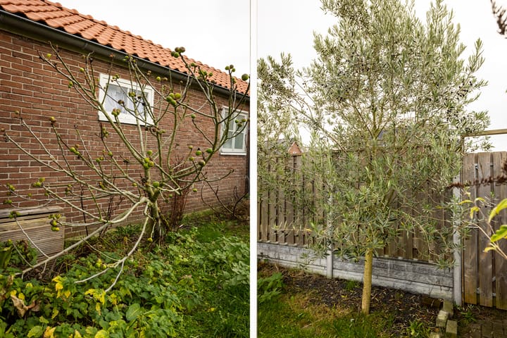 Foto 29 van Lindenlaan 70