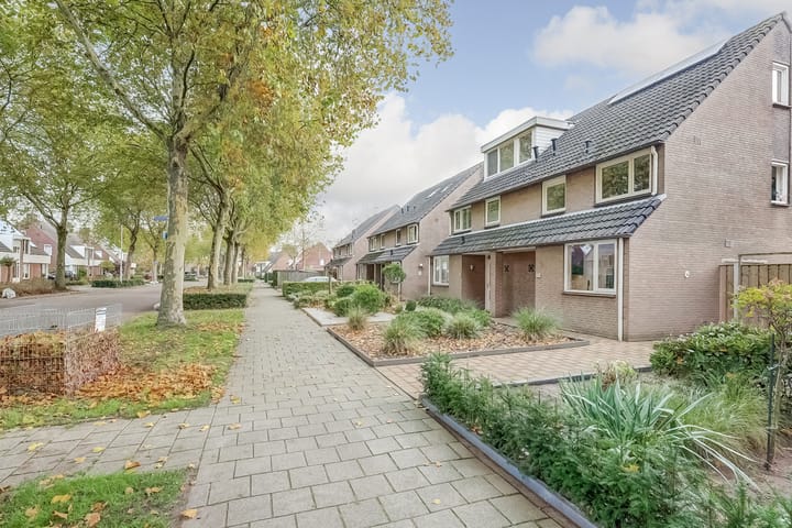 Foto 40 van Groen van Prinstererlaan 59