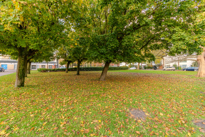 Foto 27 van Dovenetelweg 29