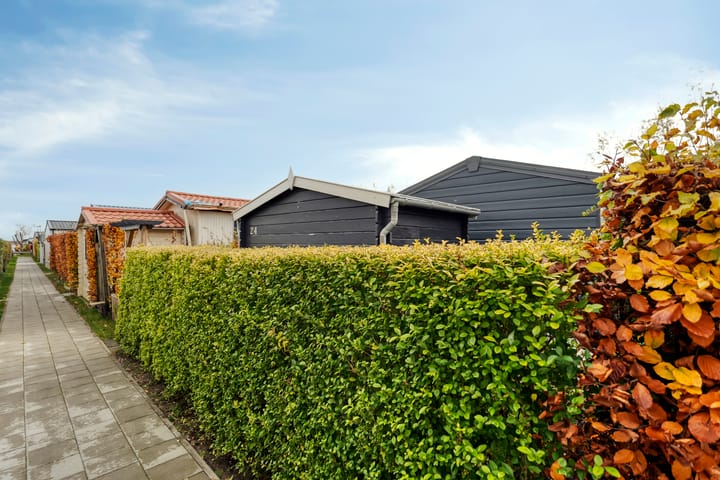 Foto 9 van Binnenpad 113-A24