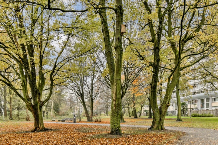 Photo 18 of Hofgeest 103