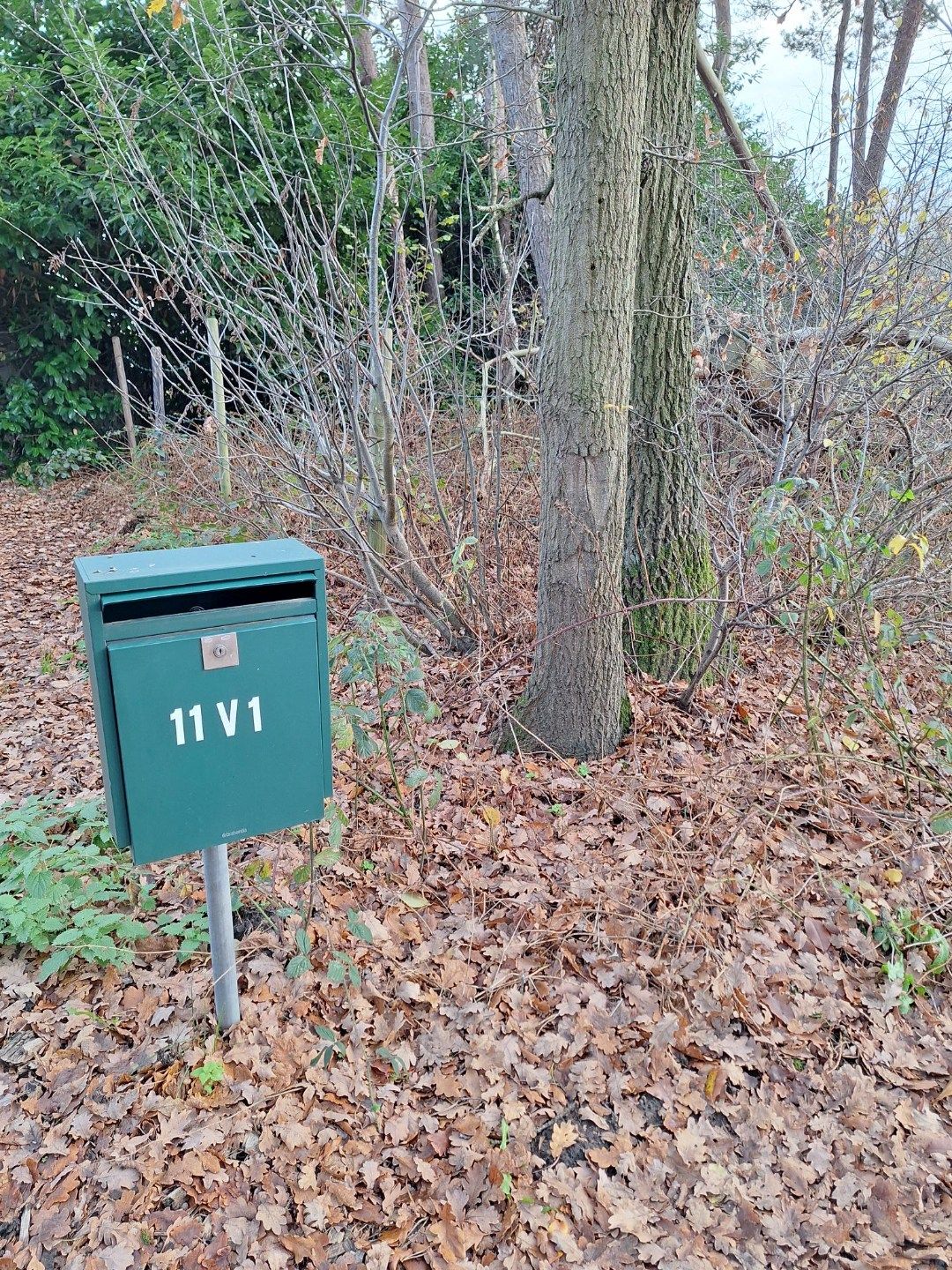 Photo 2 of Grotesteeg 11-V1