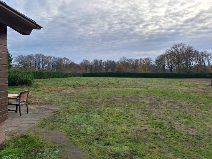 Photo 3 of Grotesteeg 11-V1