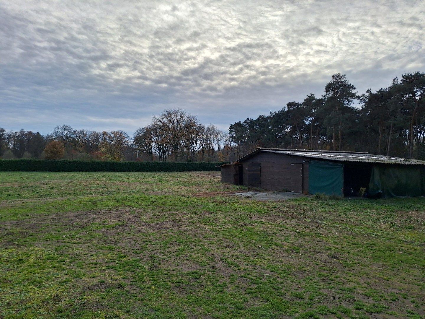 Photo 6 of Grotesteeg 11-V1