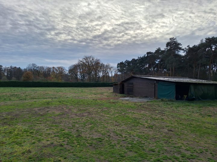 Photo 6 of Grotesteeg 11-V1