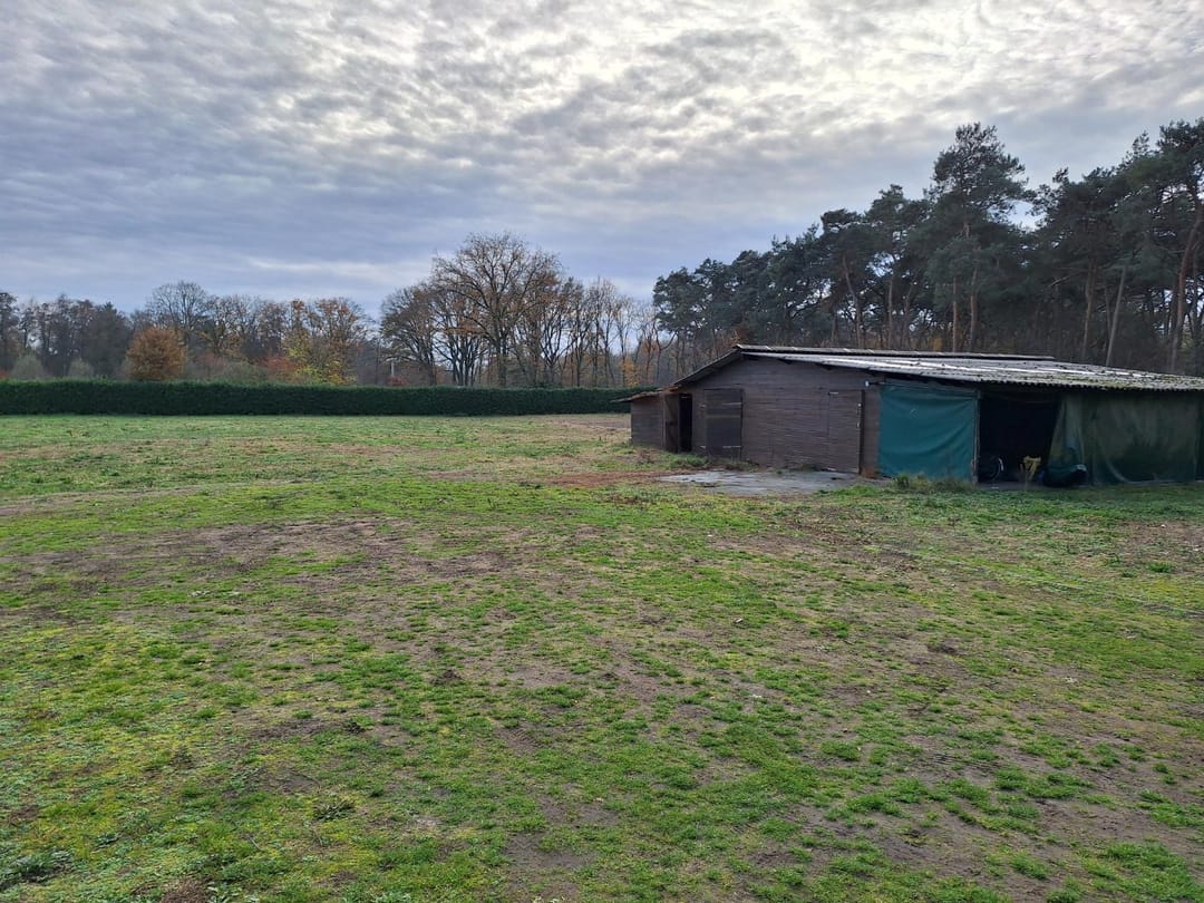 Photo 7 of Grotesteeg 11-V1