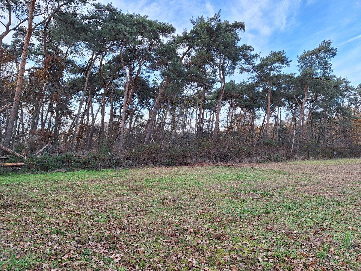 Photo 10 of Grotesteeg 11-V1