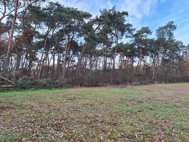 Photo 10 of Grotesteeg 11-V1