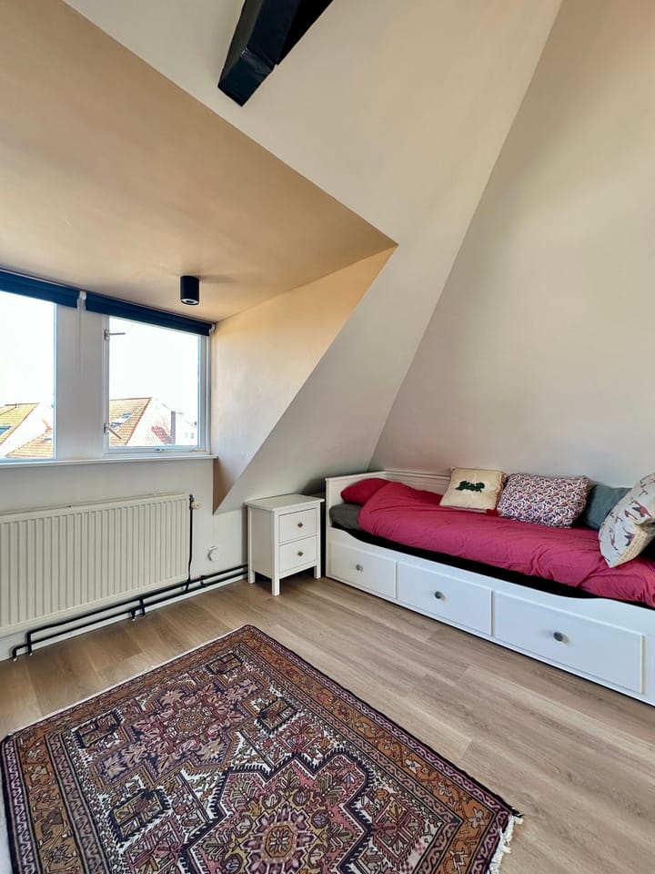 Foto 27 van Boerhaavestraat 2