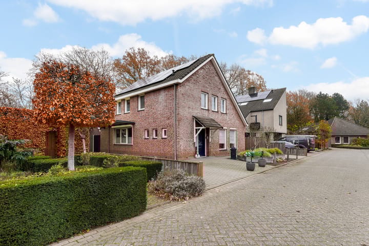 Foto 4 van Hoogbeek 3