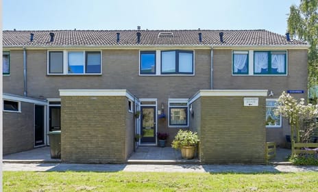 undefined main image