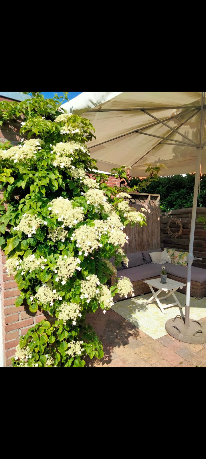 Photo 36 of Zuidvlietstraat 59