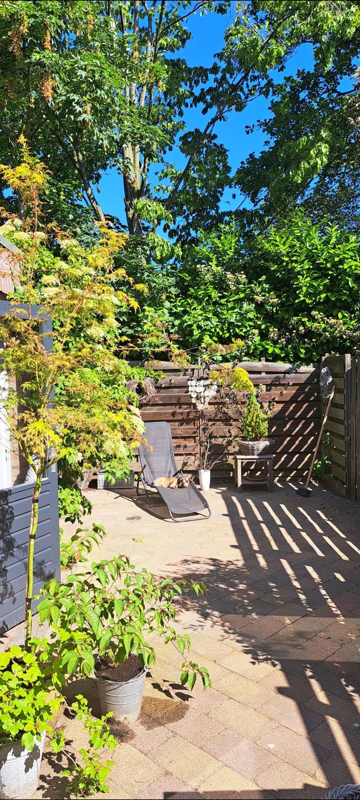 Photo 34 of Zuidvlietstraat 59