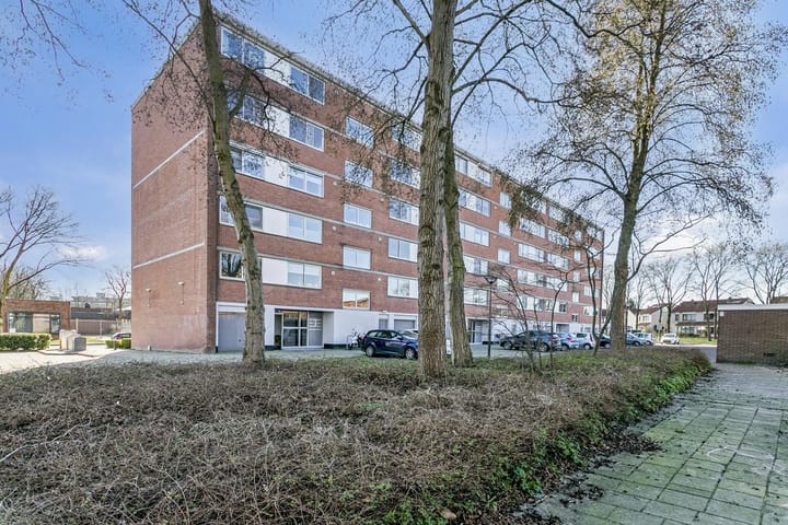 Foto 3 van Rijnauwenstraat