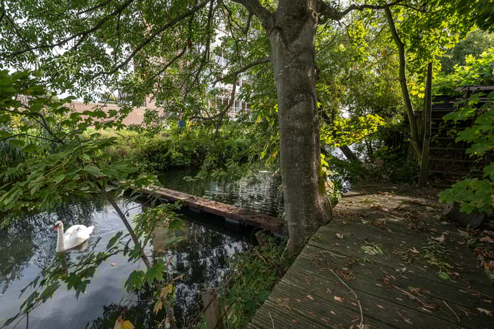 Photo 45 of Oudelandsedijk 39