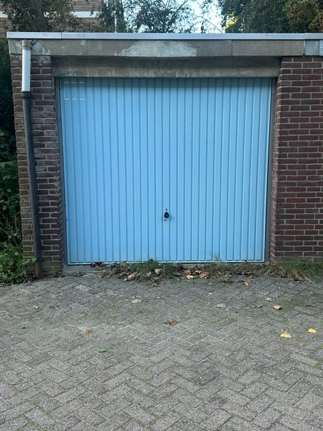 undefined main image