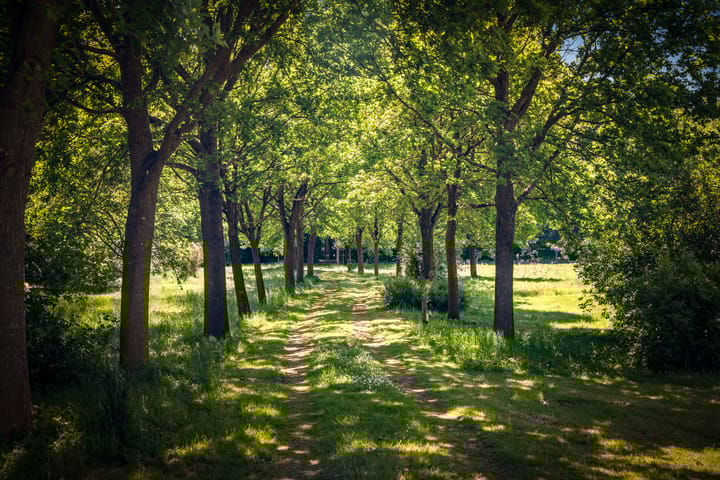 Photo 49 of Schuurmansweg 1