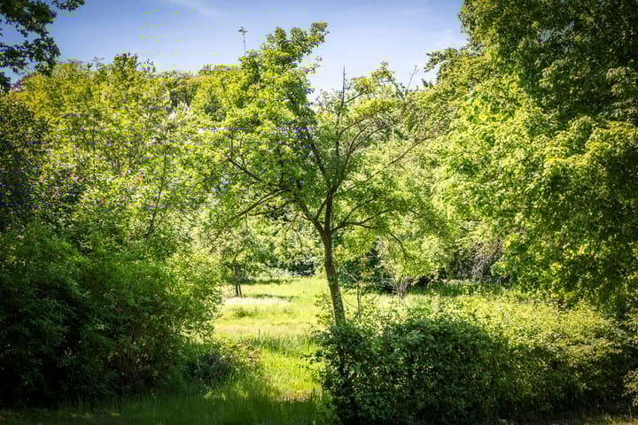 Photo 8 of Schuurmansweg 1