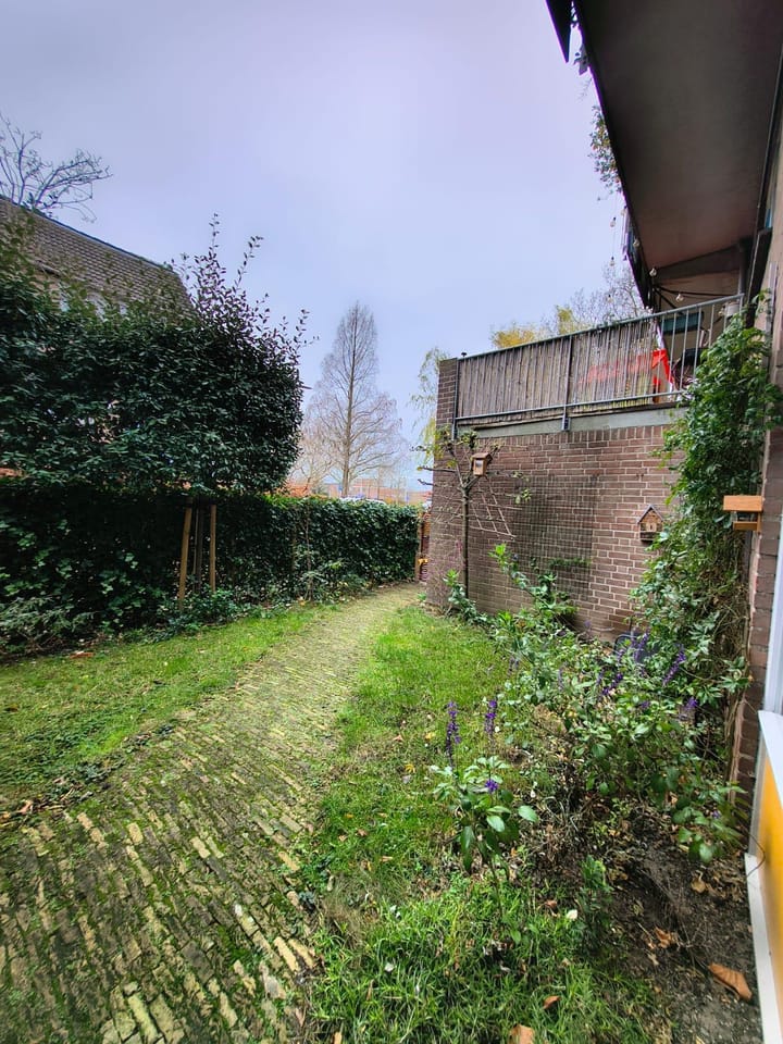 Foto 16 van Bauxietpad 1