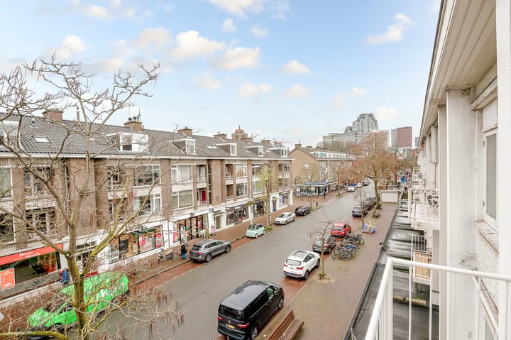 Foto 24 van Theresiastraat 136