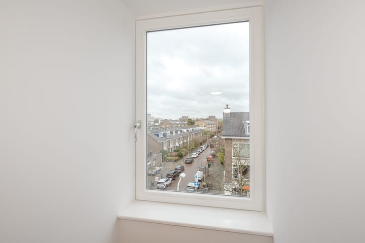 Foto 45 van Theresiastraat 136