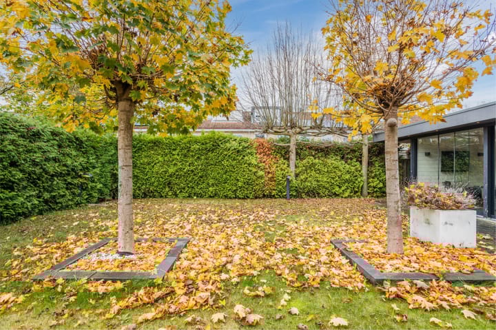 Foto 64 van Erve Derkman 2