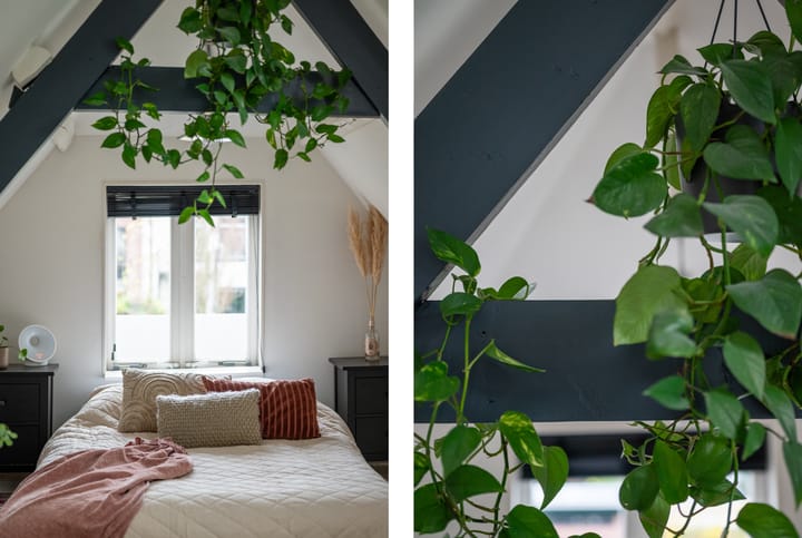 Foto 19 van Molenstraat 91