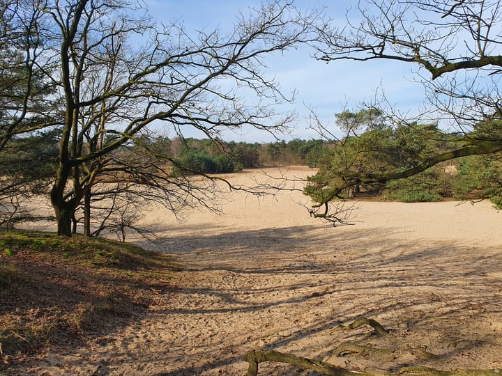 Foto 26 van Bosrand | 20