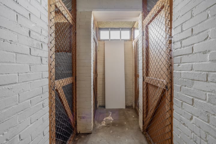 Foto 19 van Suze Groeneweglaan 179