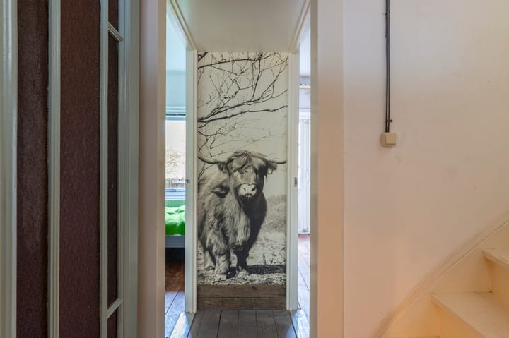 Photo 23 of Karnemelksloot 107