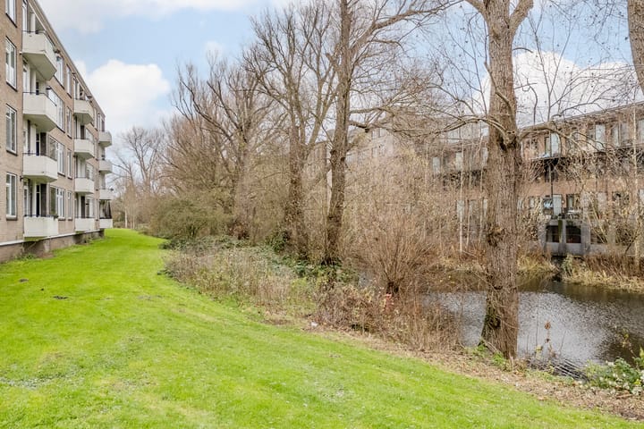 Foto 21 van Stalpaertstraat 115