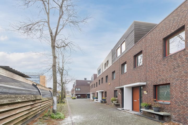 Foto 4 van Niek Engelschmanpark 4