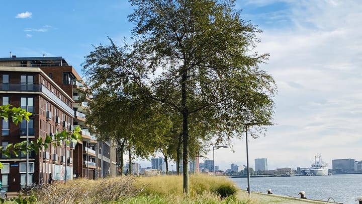 Foto 20 van Loods Holland 8