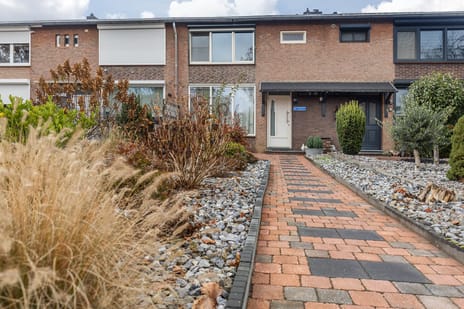 Merelstraat thumbnail