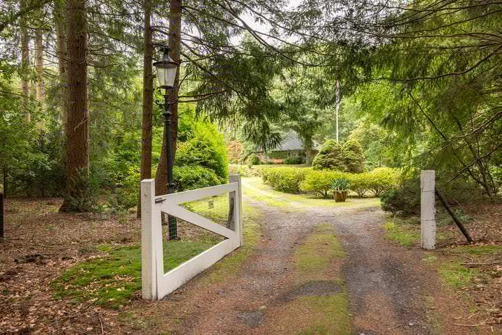 Foto 62 van Groteweg 123