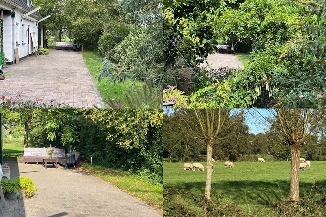 Photo 56 of Kommisjewei 53