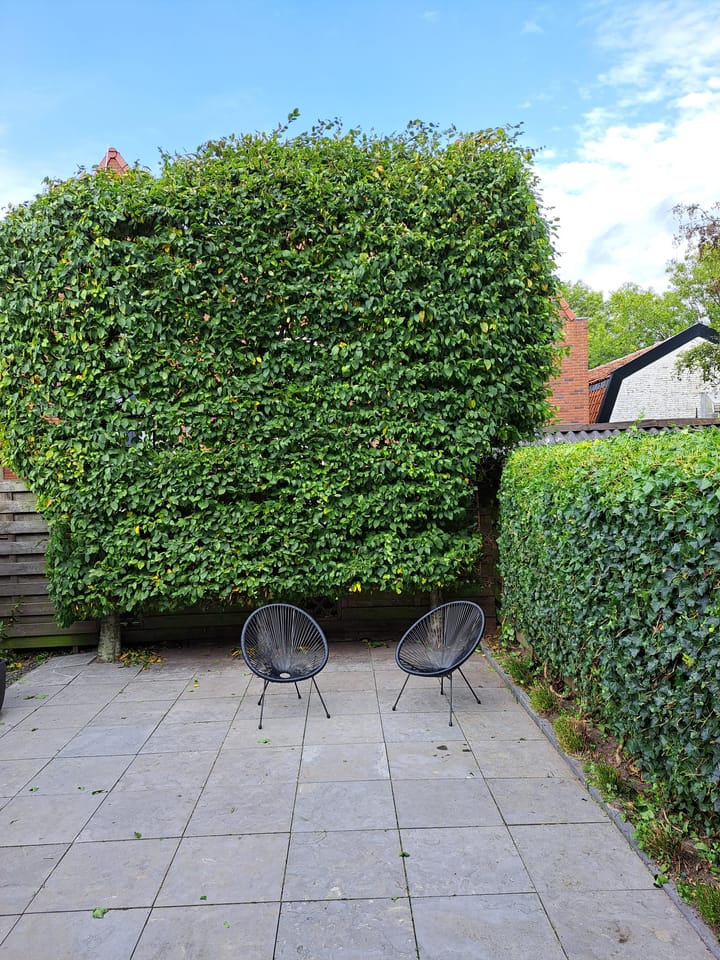 Photo 35 of Westerhaven 34