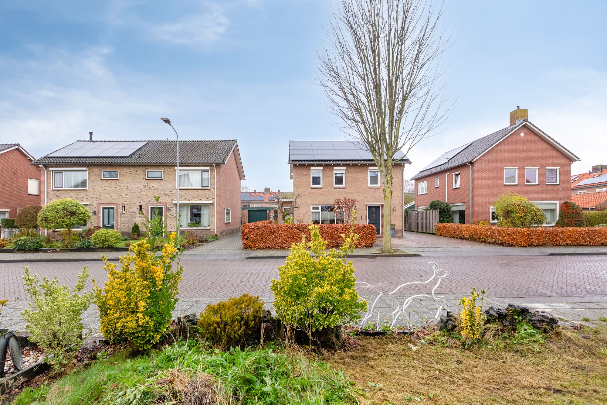 Foto 33 van Vos de Waelstraat 3