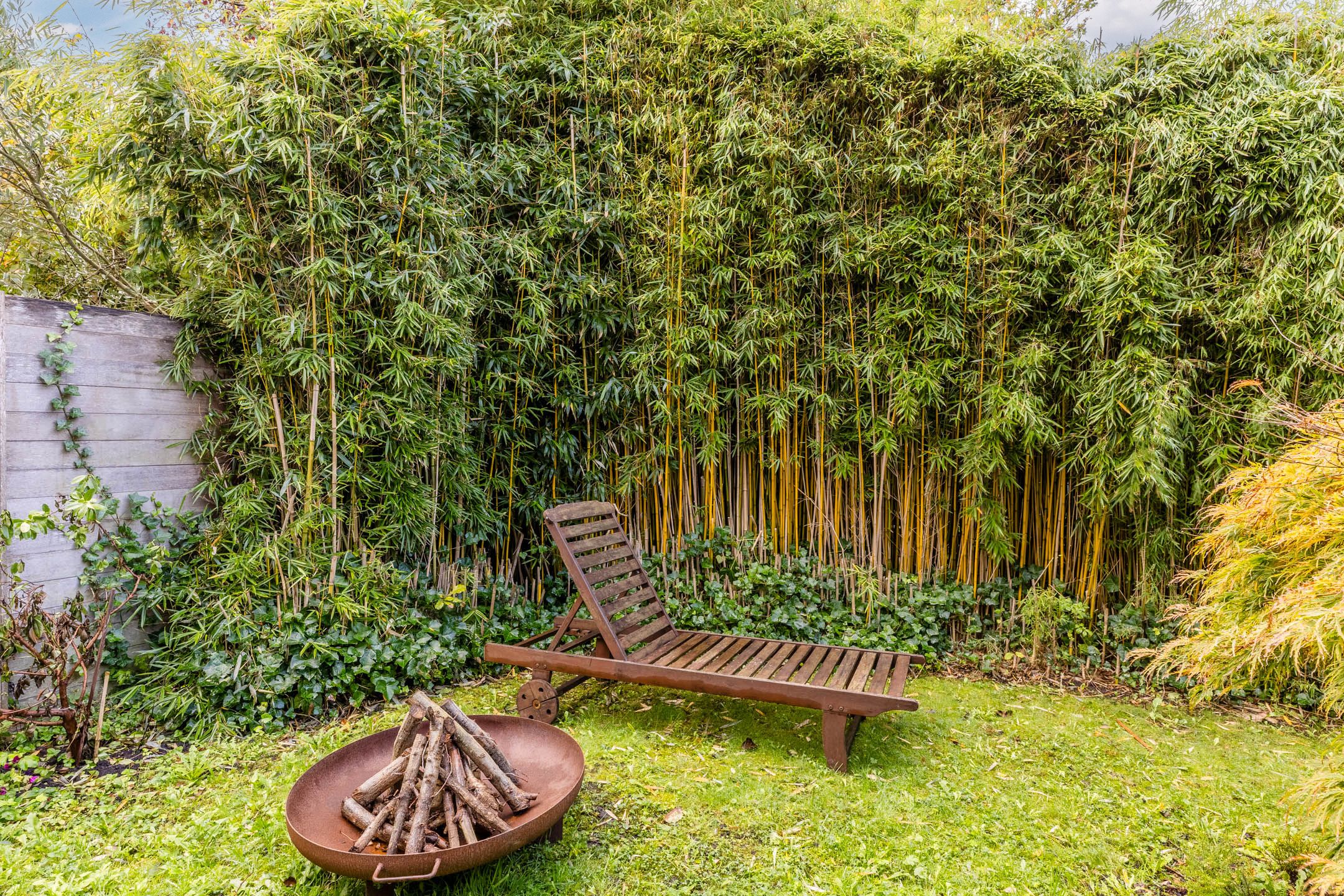 Foto 42 van Bavinkhof 11