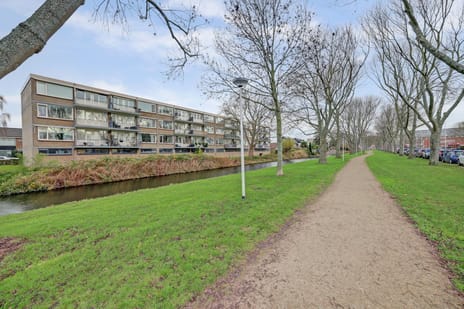 Rembrandtstraat thumbnail