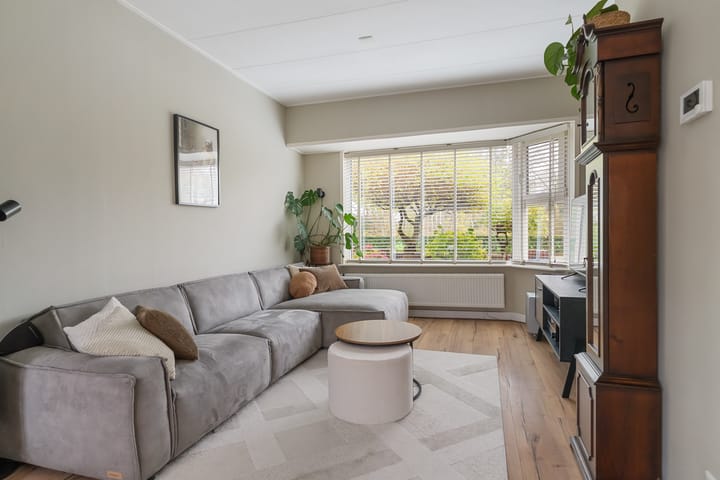 Foto 2 van Swammerdamstraat 43