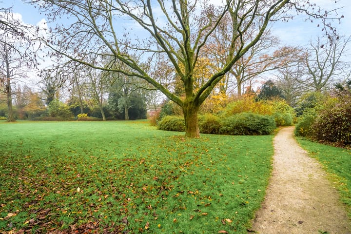 Foto 45 van Swammerdamstraat 43