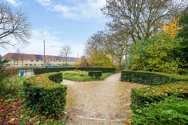 Foto 46 van Swammerdamstraat 43