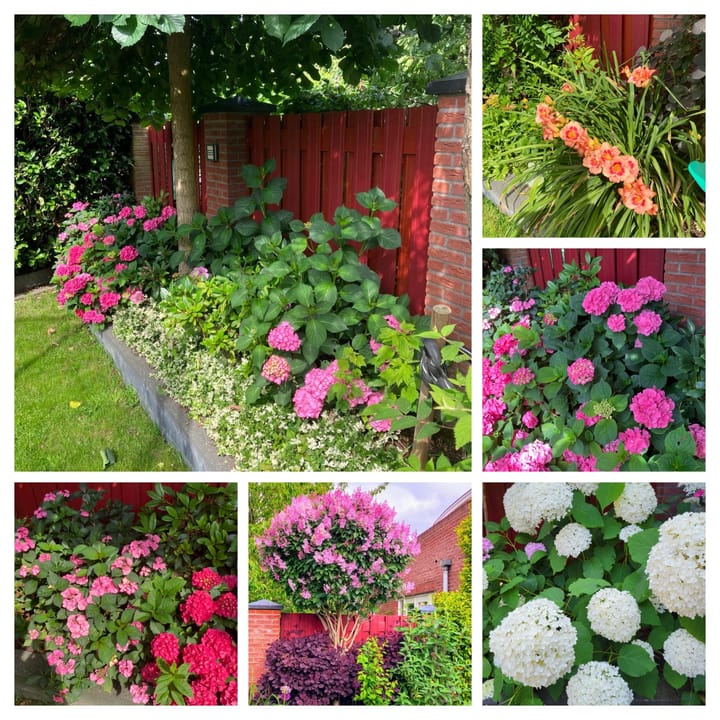 Photo 41 of Willem Schuurmanlaan 17