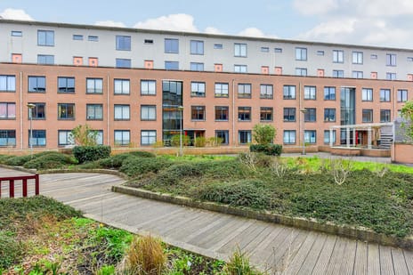 undefined main image