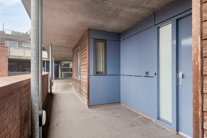 Foto 5 van Linie 557