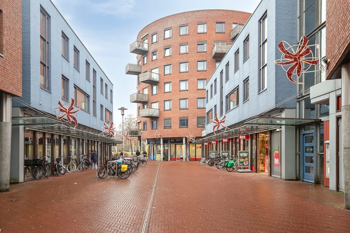 Foto 24 van Linie 557