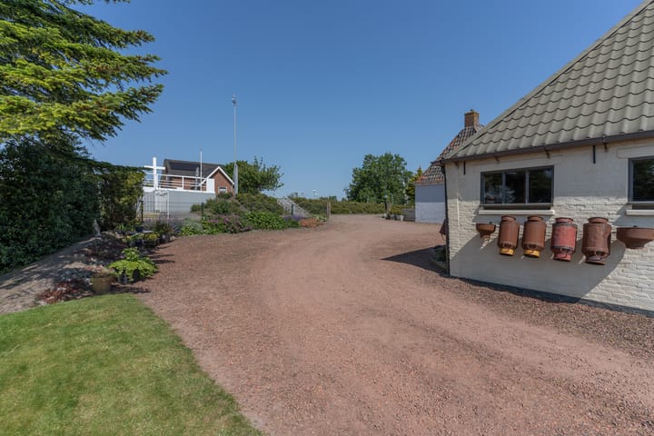 Photo 66 of It Heech 25