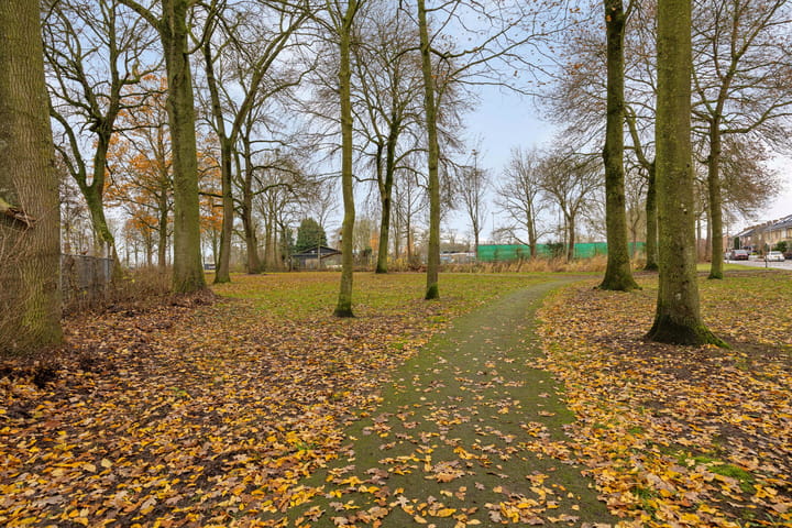 Foto 37 van Dorus Rijkersstraat 47