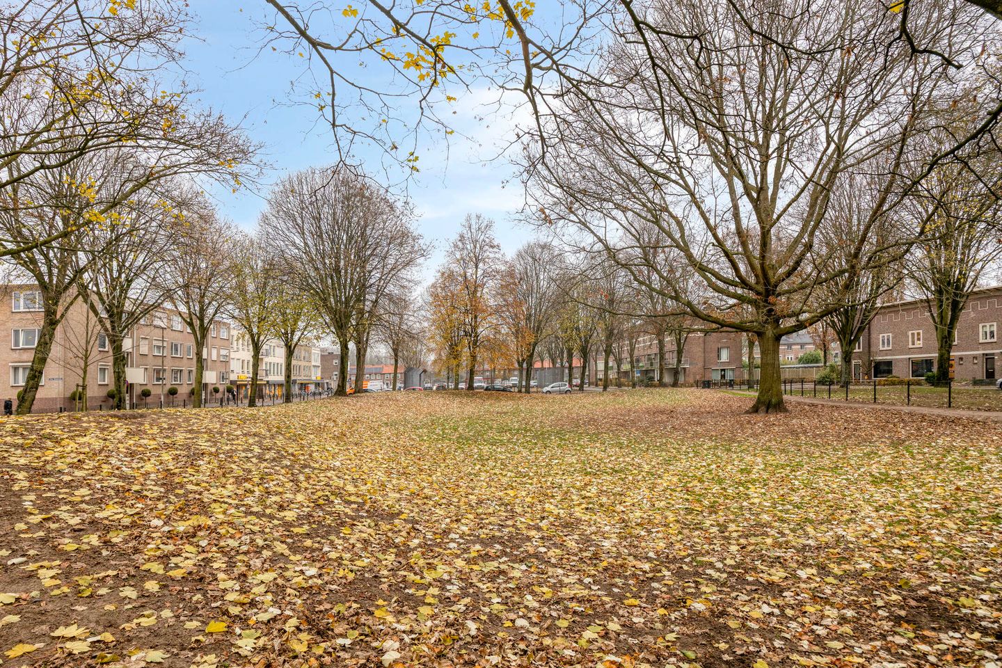 Foto 29 van Schadewijkstraat 69